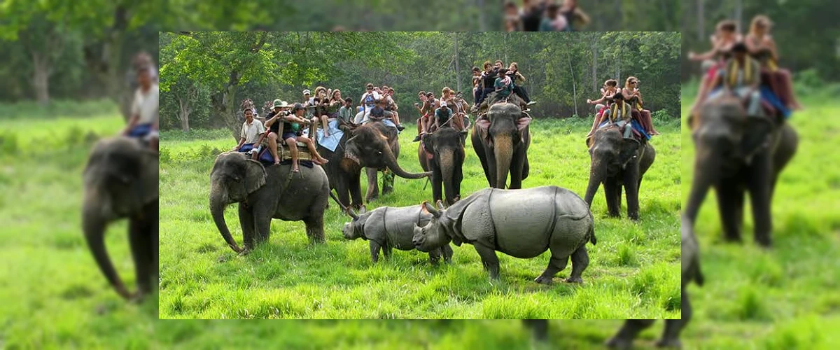 Chitwan